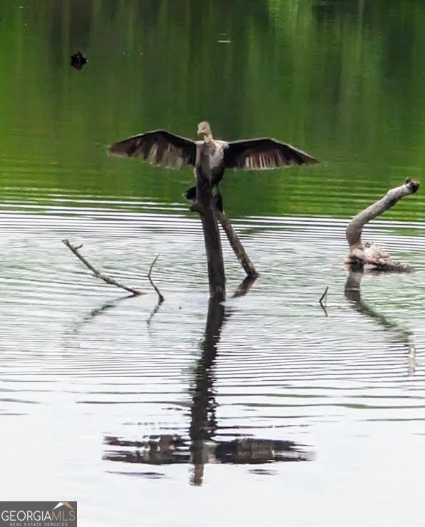 35 Tyler Road Naylor, GA 31641 - Photo 66 of 72