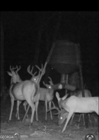 $1,450,000 | 35 Tyler Road, Naylor, GA 31641