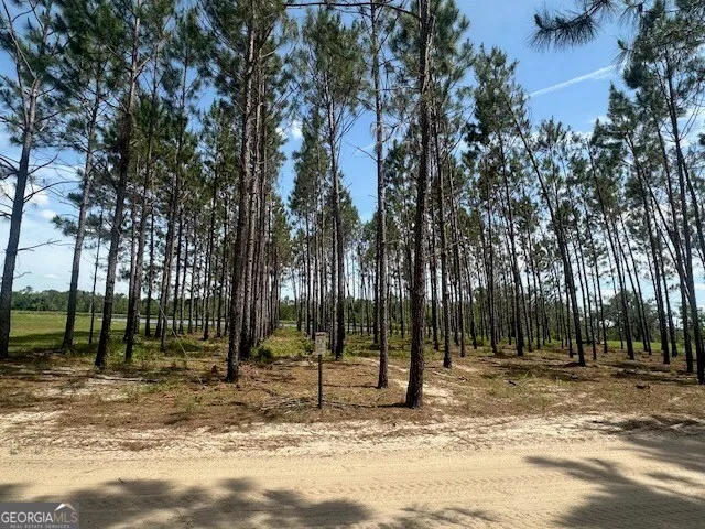 $1,450,000 | 35 Tyler Road, Naylor, GA 31641