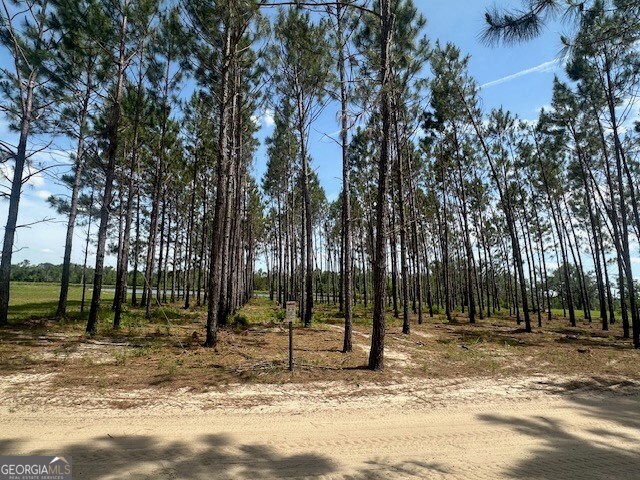 35 Tyler Road Naylor, GA 31641 - Photo 69 of 72