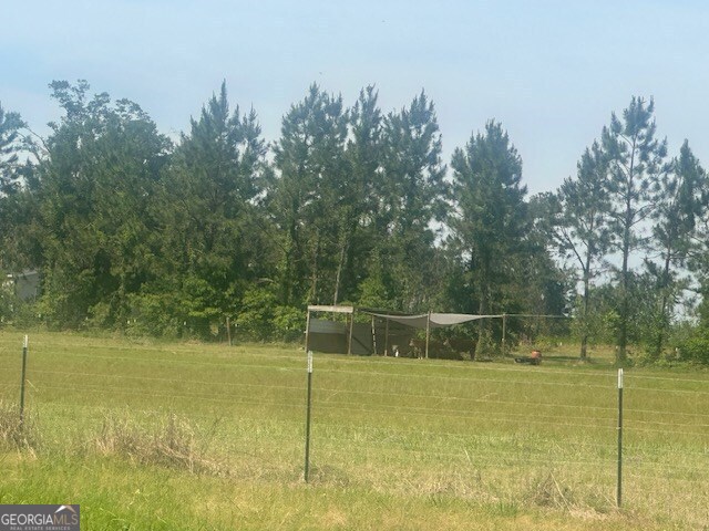 35 Tyler Road Naylor, GA 31641 - Photo 70 of 72