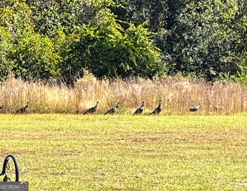 35 Tyler Road Naylor, GA 31641 - Photo 71 of 72