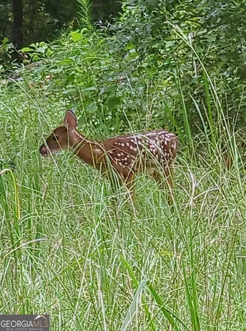 $1,450,000 | 35 Tyler Road, Naylor, GA 31641