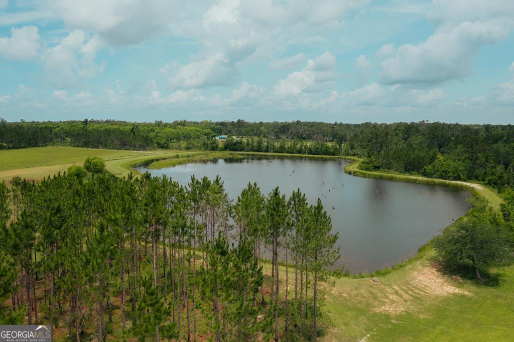 35 Tyler Road Naylor, GA 31641 - Photo 8 of 72