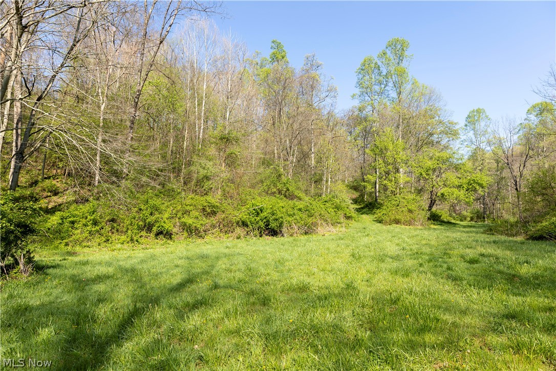 80960 Burkhart Road Tippecanoe, OH 44699 - Photo 45 of 50
