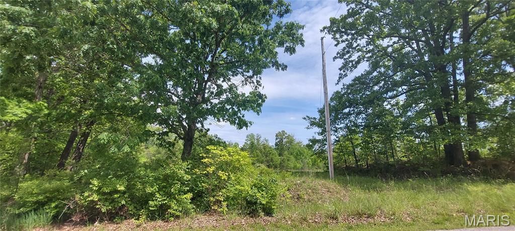 2827 Oberhelman Road Foristell, MO 63348 - Photo 11 of 11