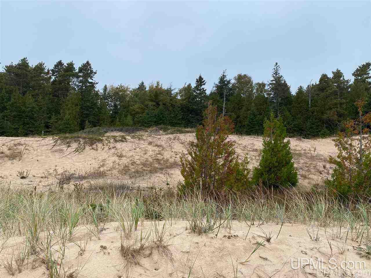 Tbd South Wiggins Point Trail Manistique, MI 49854 - Photo 8 of 18