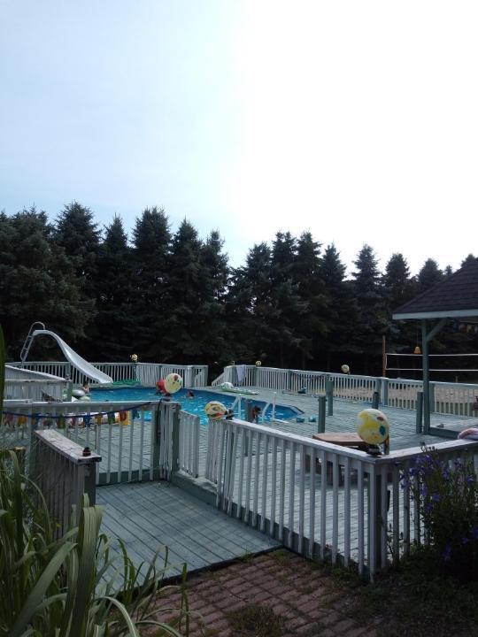 3681 Sayles Road Ionia, MI 48846 - Photo 55 of 61 253960
