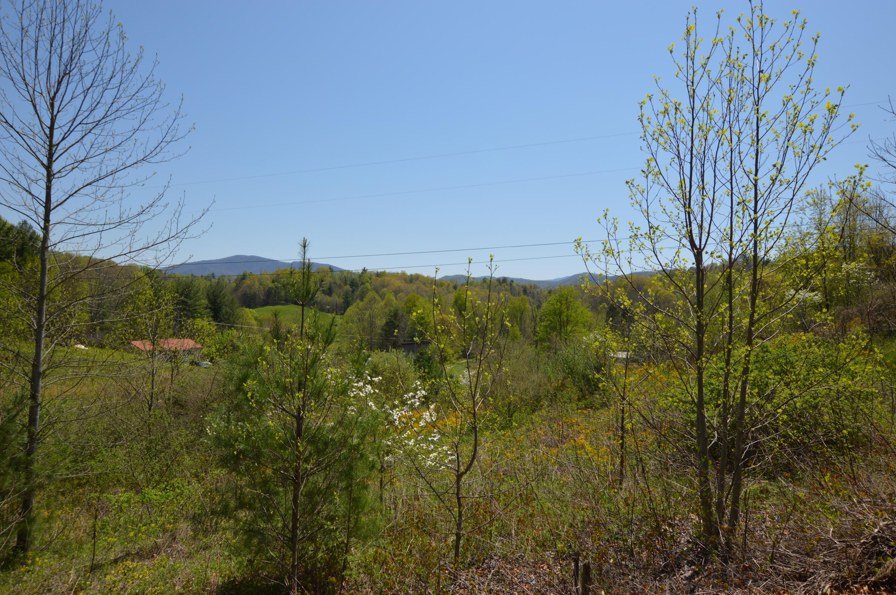 749 Piney Grove Road Hampton, TN 37658 - Photo 1 of 26 749 Piney20