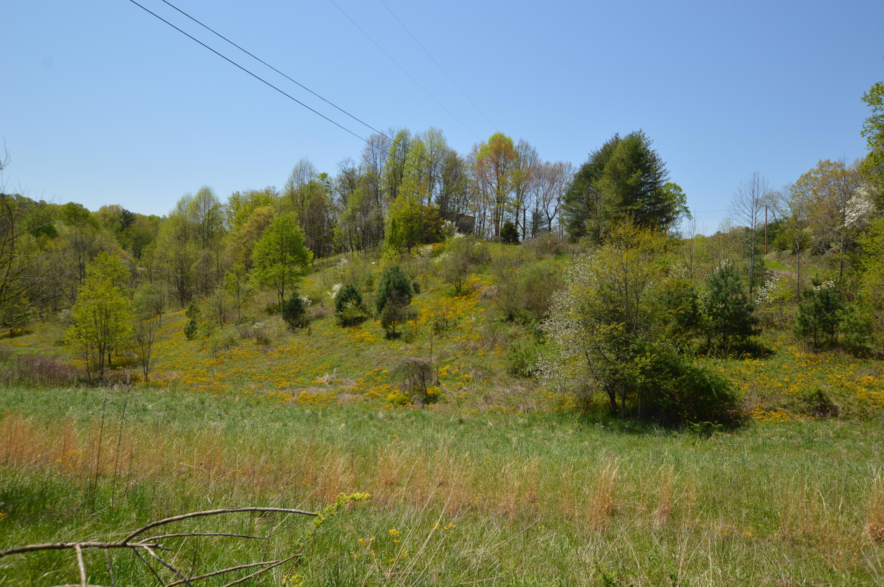 749 Piney Grove Road Hampton, TN 37658 - Photo 11 of 26 749 Piney10