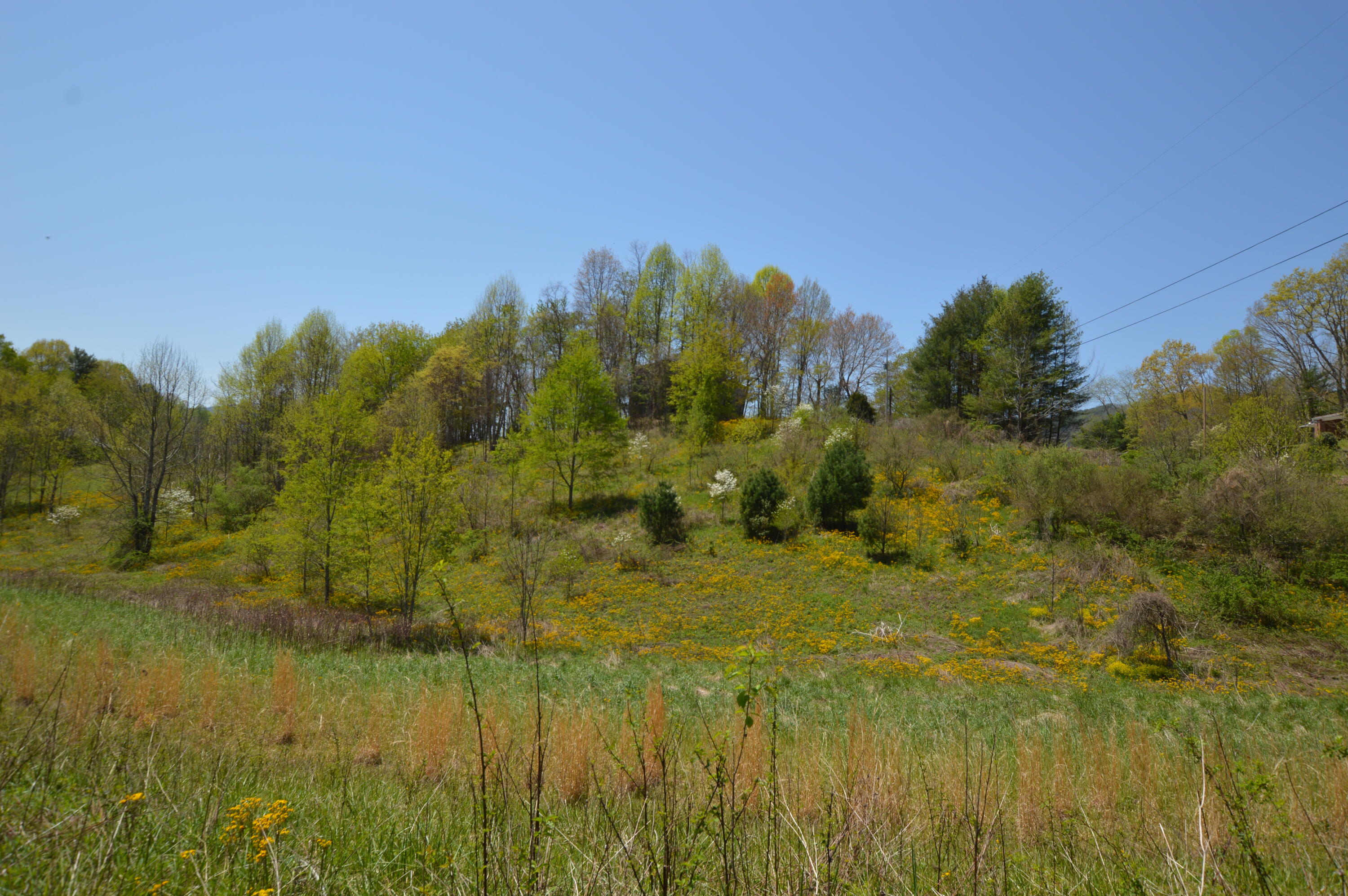 749 Piney Grove Road Hampton, TN 37658 - Photo 13 of 26 749 Piney12