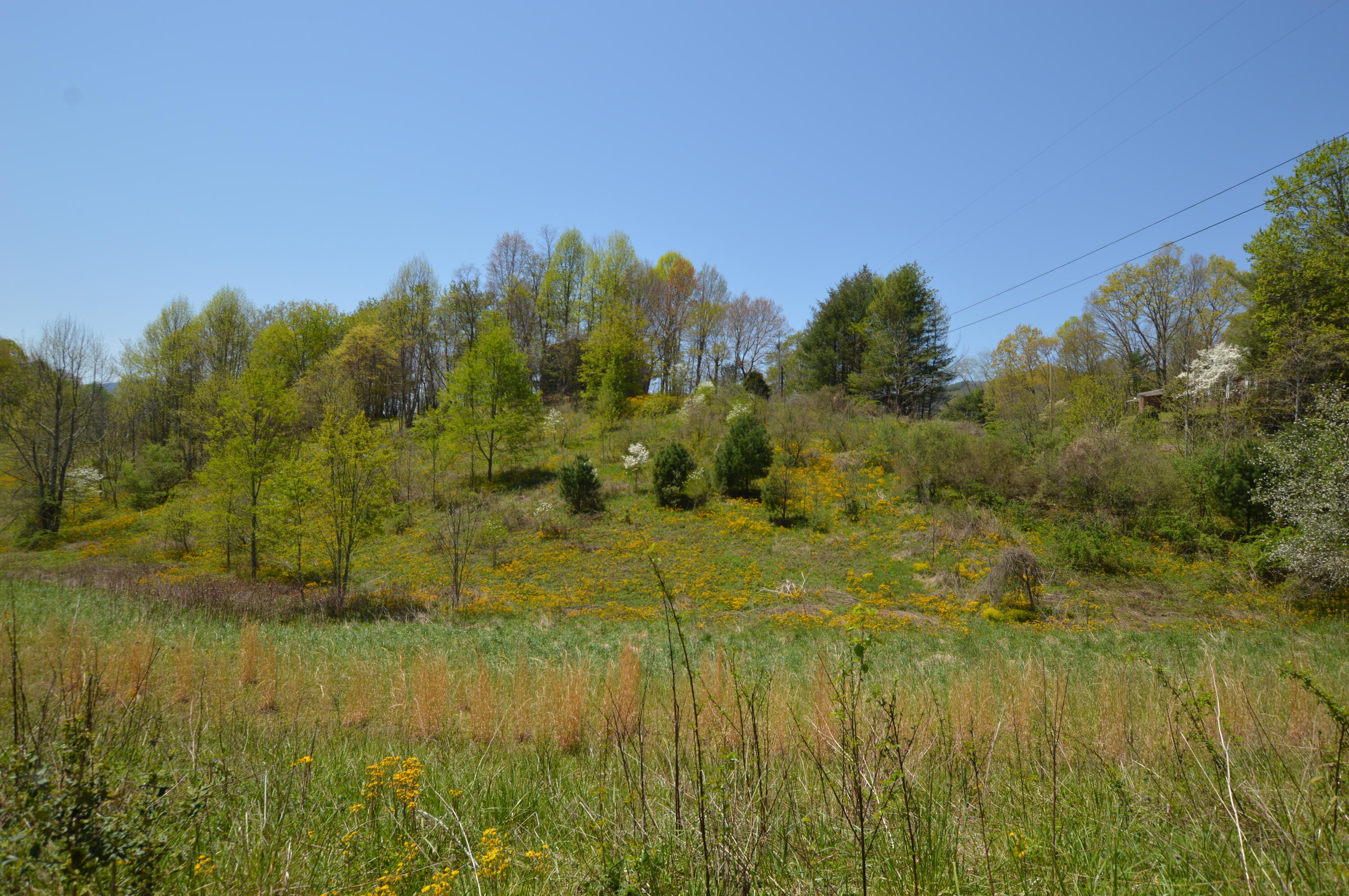 749 Piney Grove Road Hampton, TN 37658 - Photo 15 of 26 749 Piney14