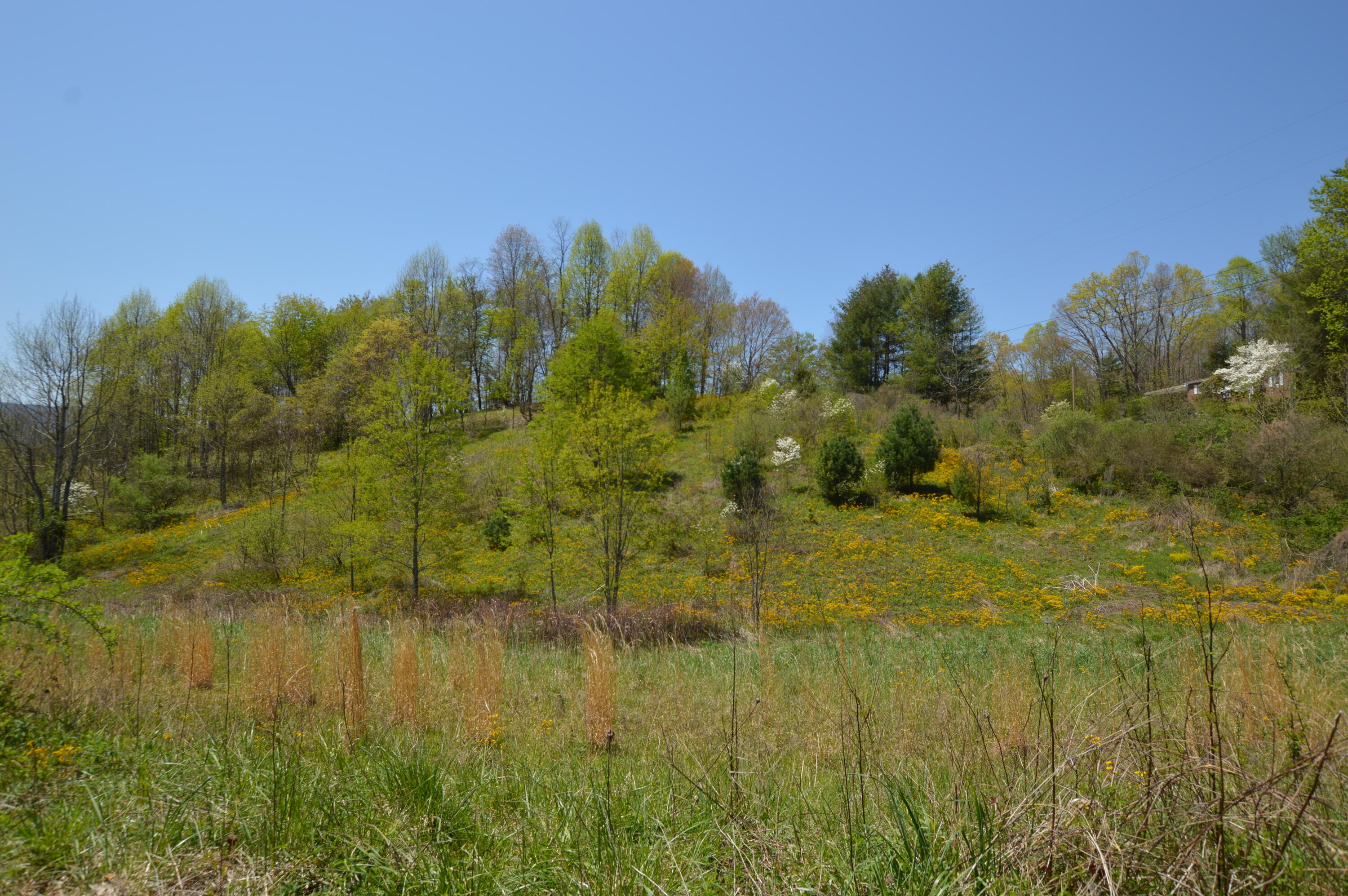 749 Piney Grove Road Hampton, TN 37658 - Photo 16 of 26 749 Piney15