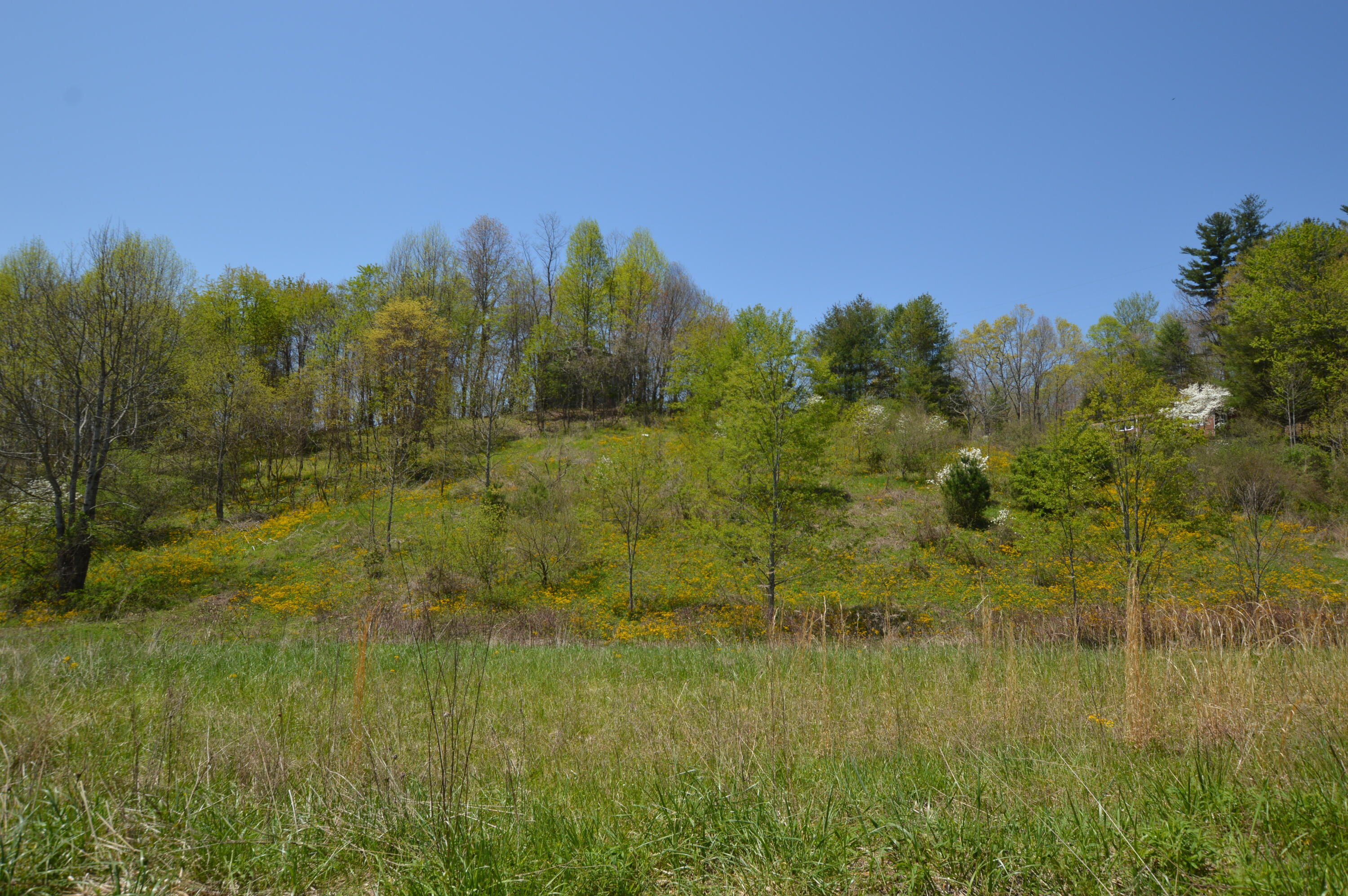 749 Piney Grove Road Hampton, TN 37658 - Photo 17 of 26 749 Piney16