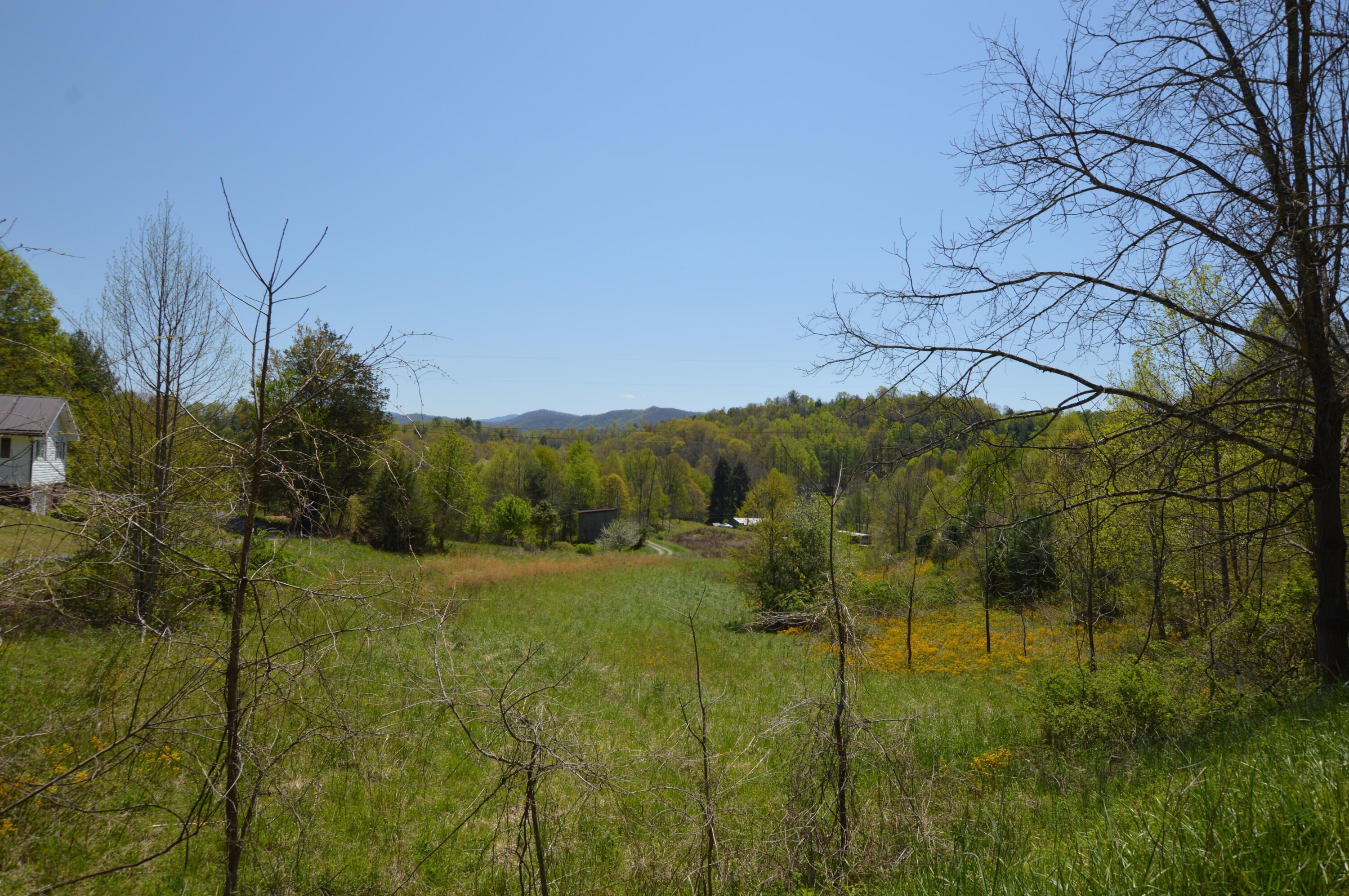 749 Piney Grove Road Hampton, TN 37658 - Photo 20 of 26 749 Piney19