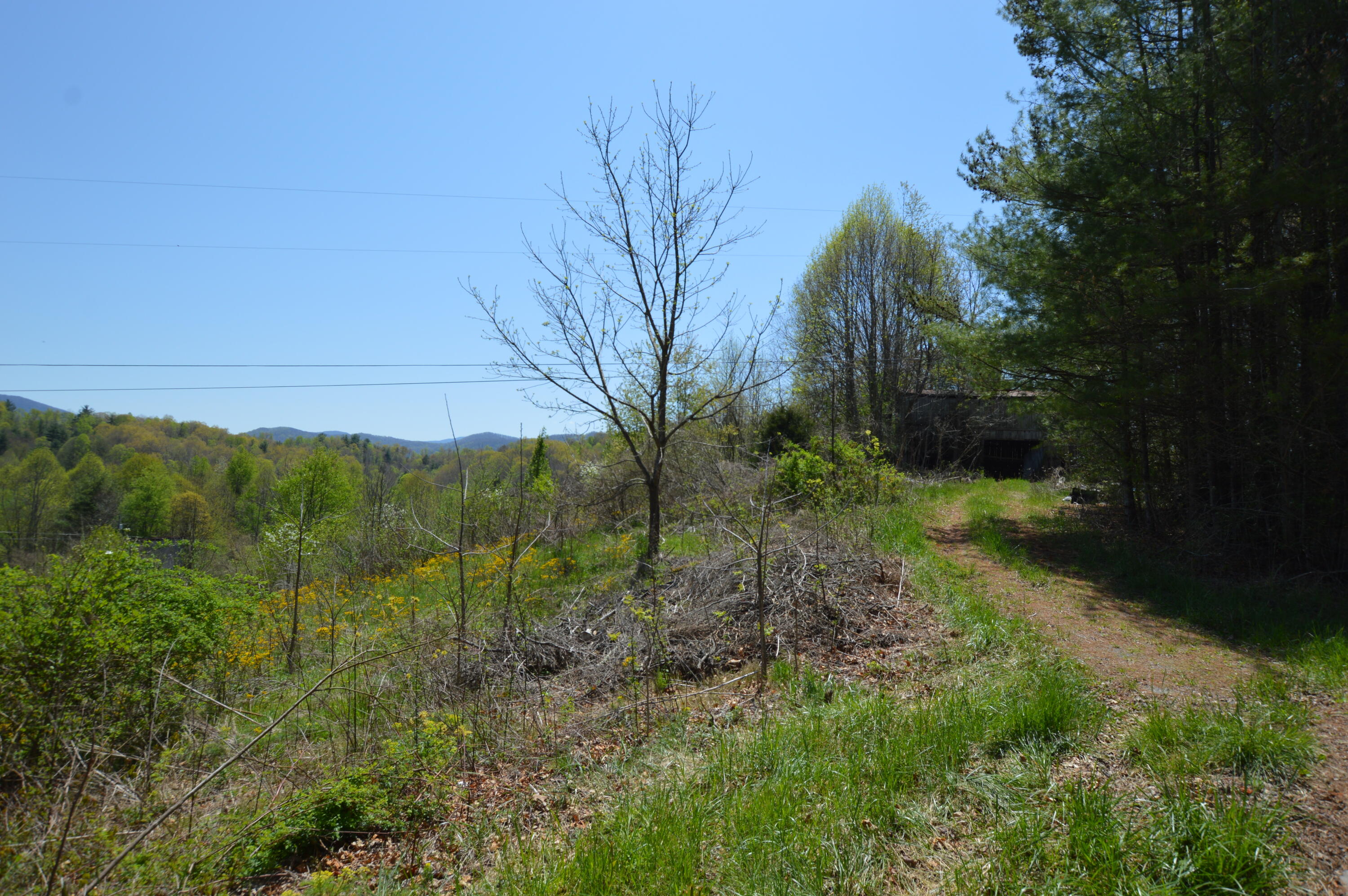 749 Piney Grove Road Hampton, TN 37658 - Photo 2 of 26 749 Piney01