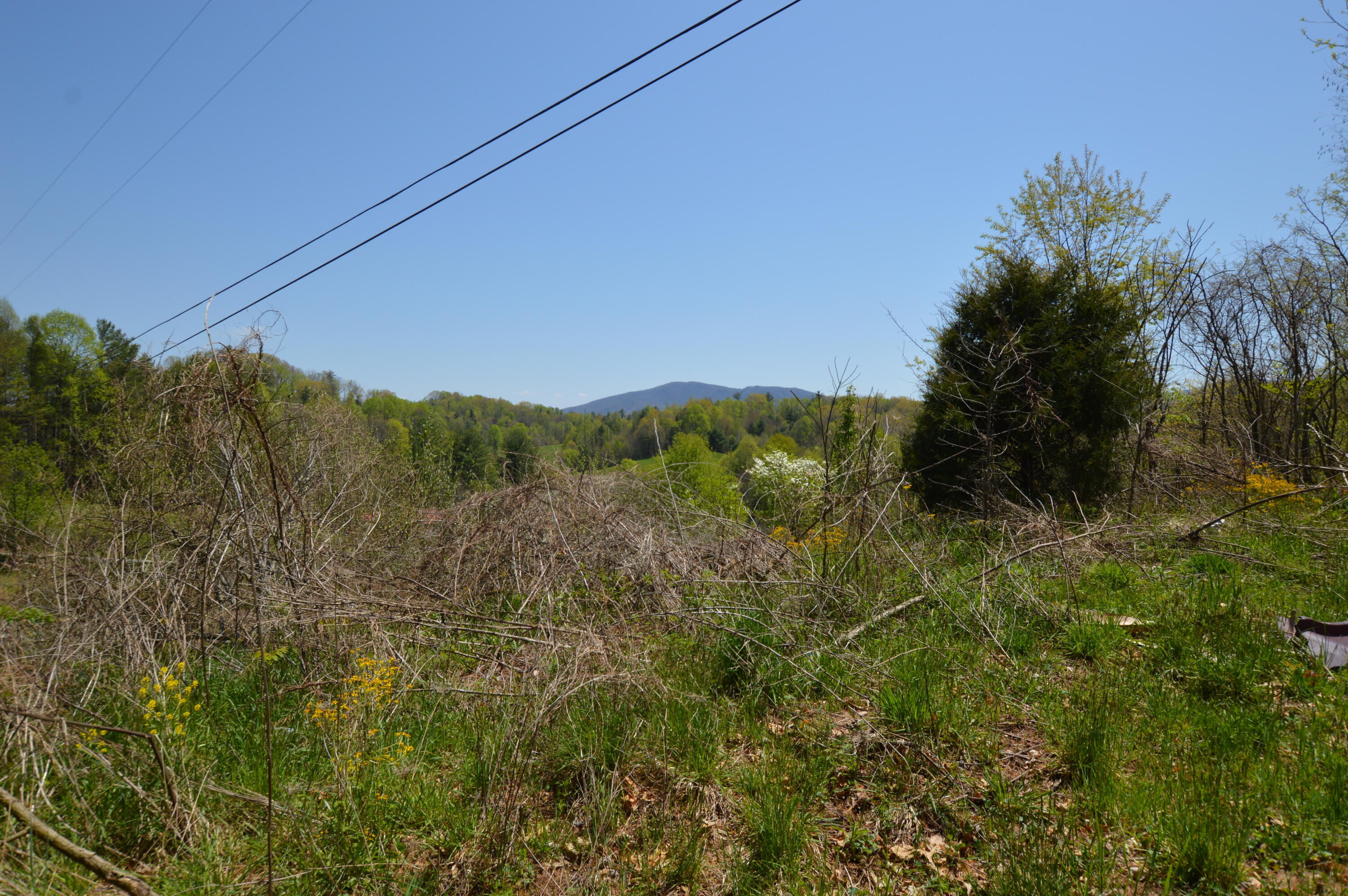 749 Piney Grove Road Hampton, TN 37658 - Photo 21 of 26 749 Piney21