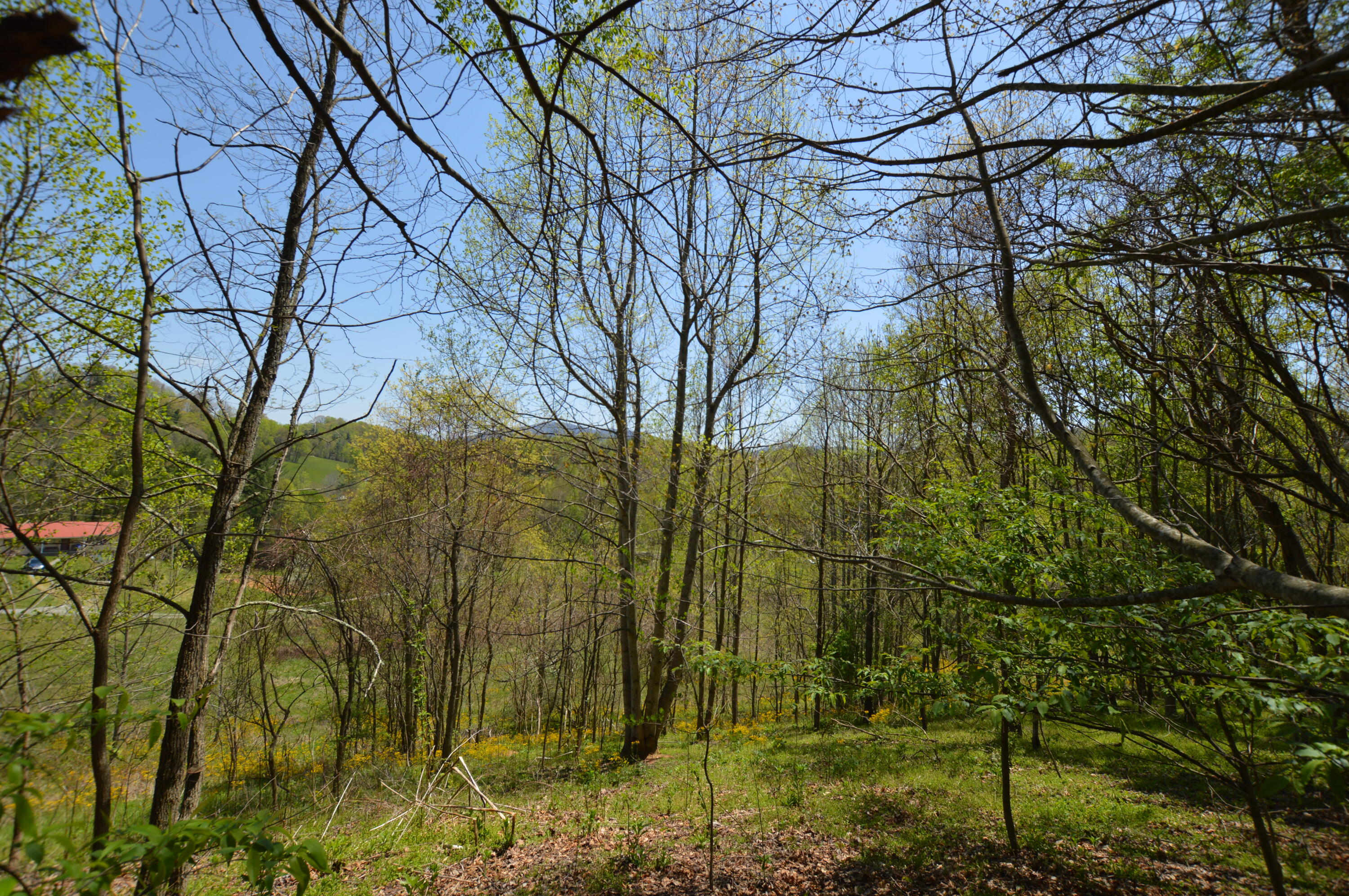 749 Piney Grove Road Hampton, TN 37658 - Photo 23 of 26 749 Piney23