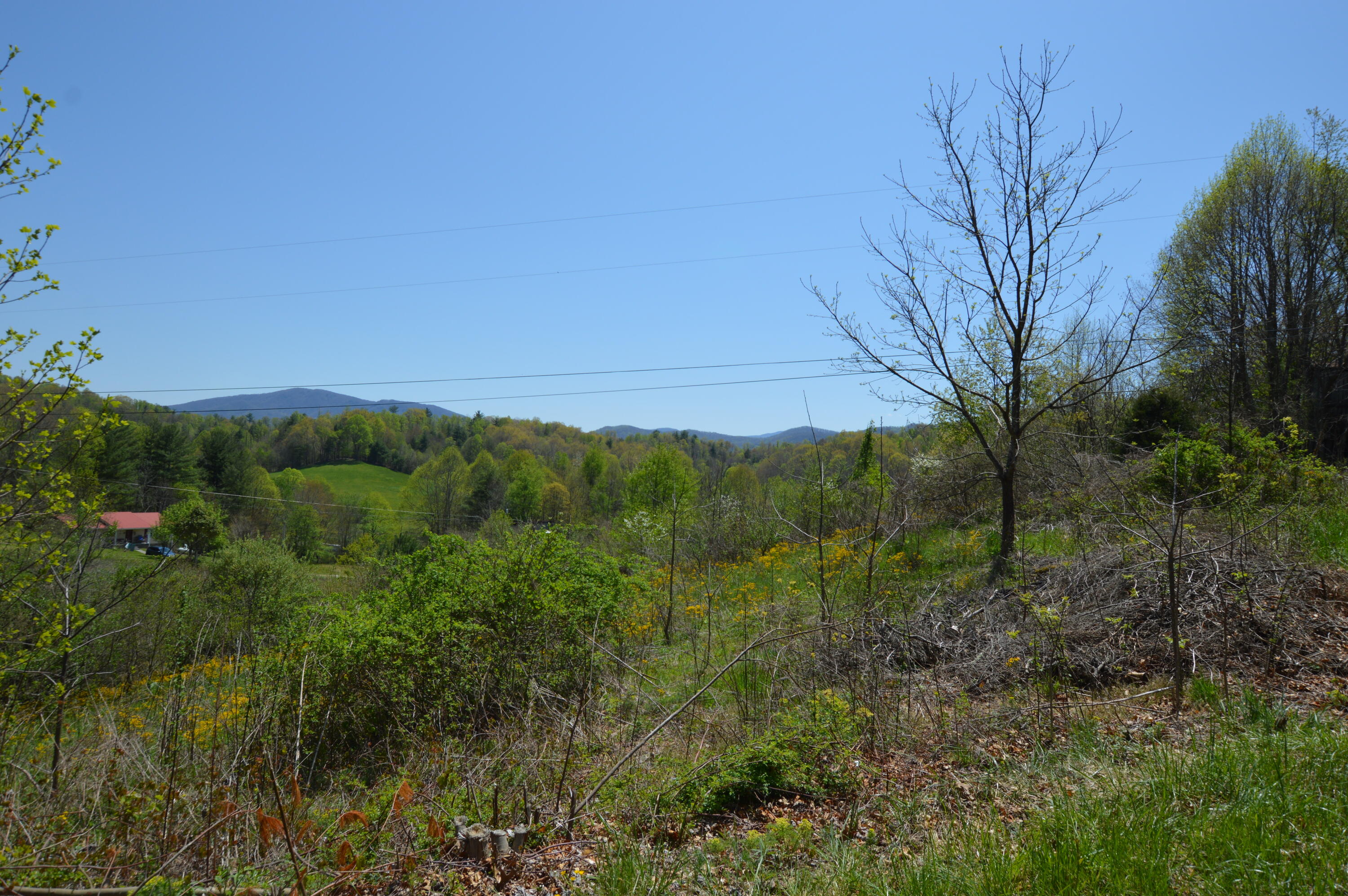 749 Piney Grove Road Hampton, TN 37658 - Photo 3 of 26 749 Piney02