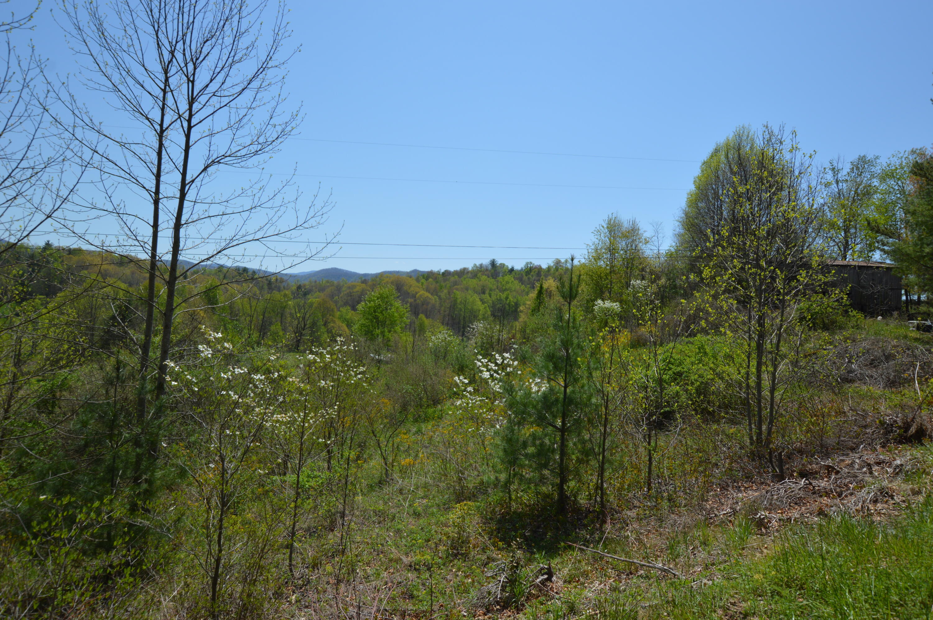 749 Piney Grove Road Hampton, TN 37658 - Photo 4 of 26 749 Piney03