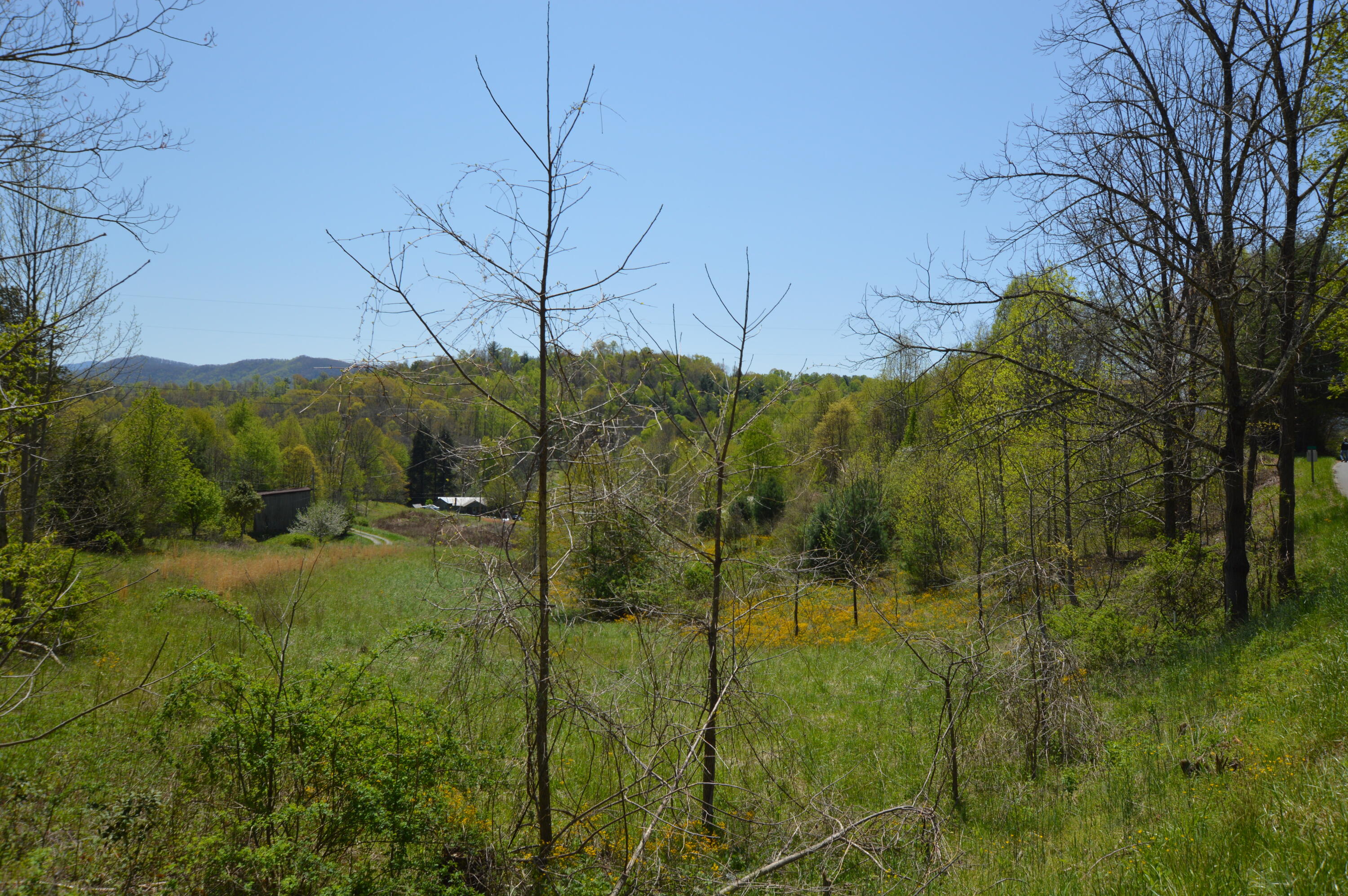 749 Piney Grove Road Hampton, TN 37658 - Photo 7 of 26 749 Piney06