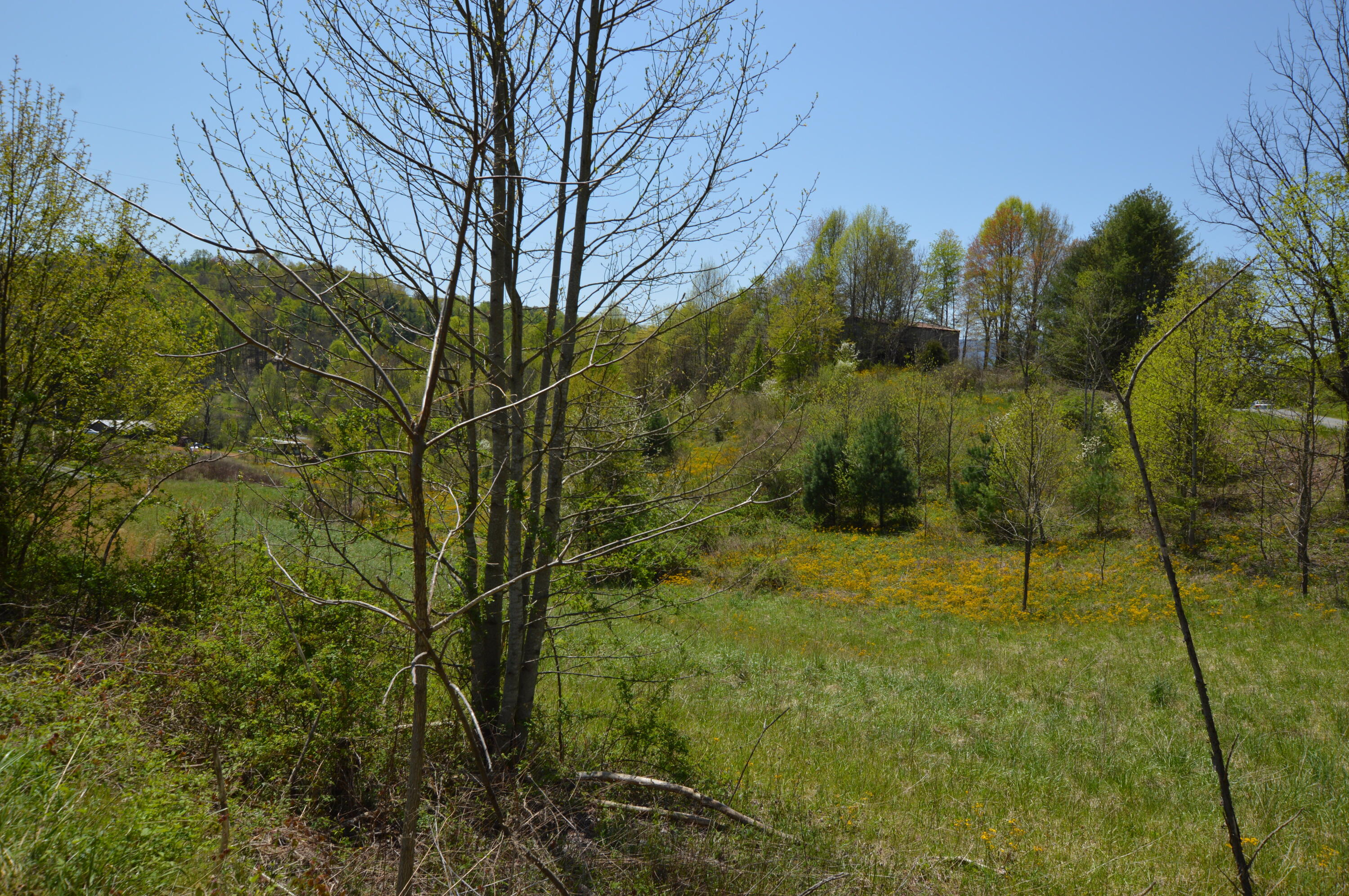 749 Piney Grove Road Hampton, TN 37658 - Photo 8 of 26 749 Piney07