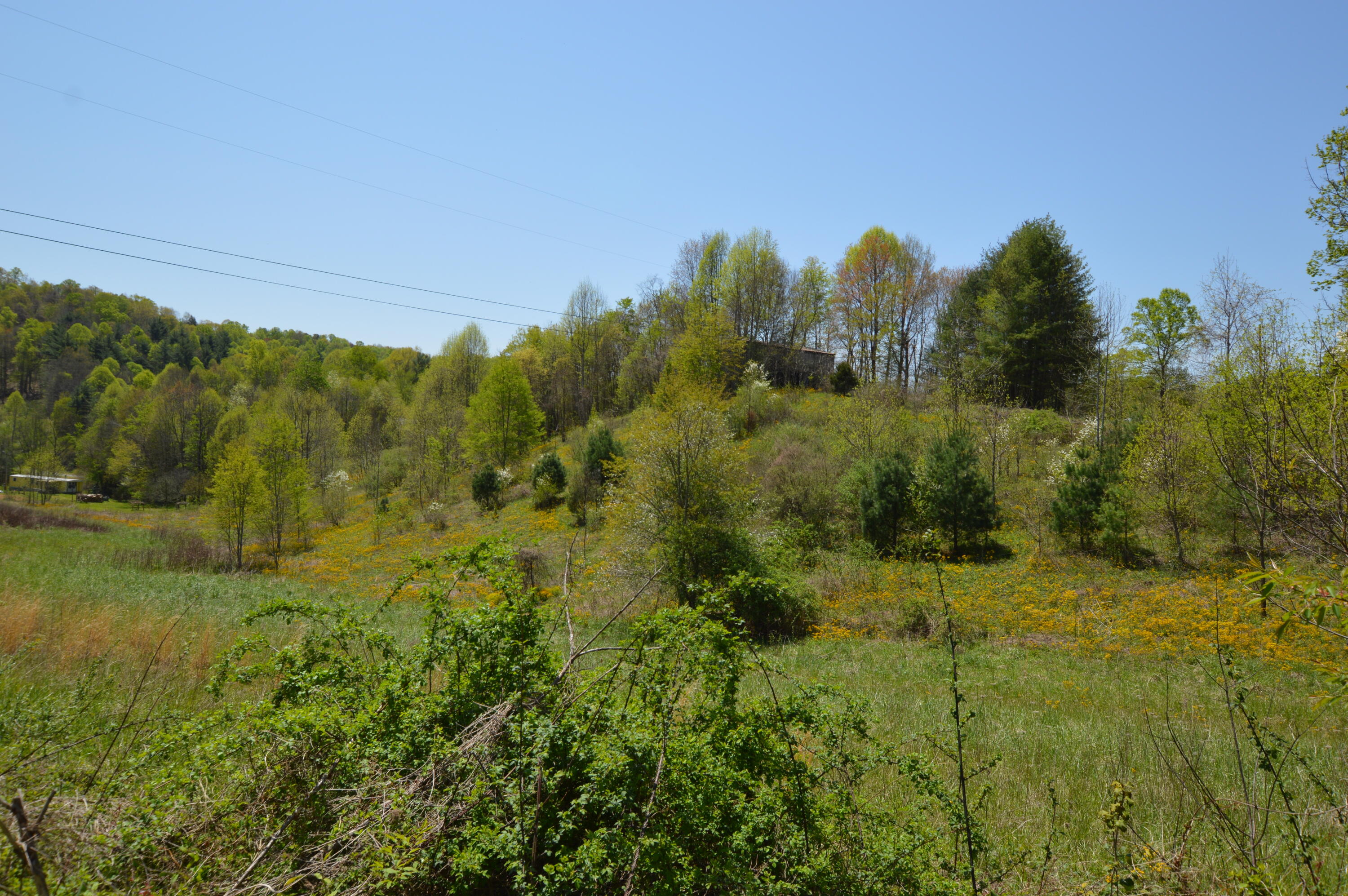 749 Piney Grove Road Hampton, TN 37658 - Photo 10 of 26 749 Piney09