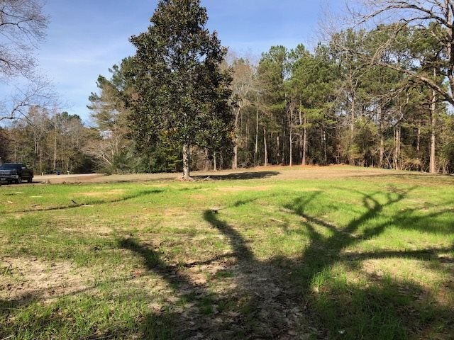 5-ac Lester Bell Road Selma, AL 36701 - Photo 1 of 26 Gallery Image 1