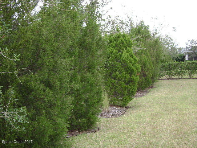 7160 Ralston Street Melbourne, FL 32940 - Photo 10 of 21 back yard view