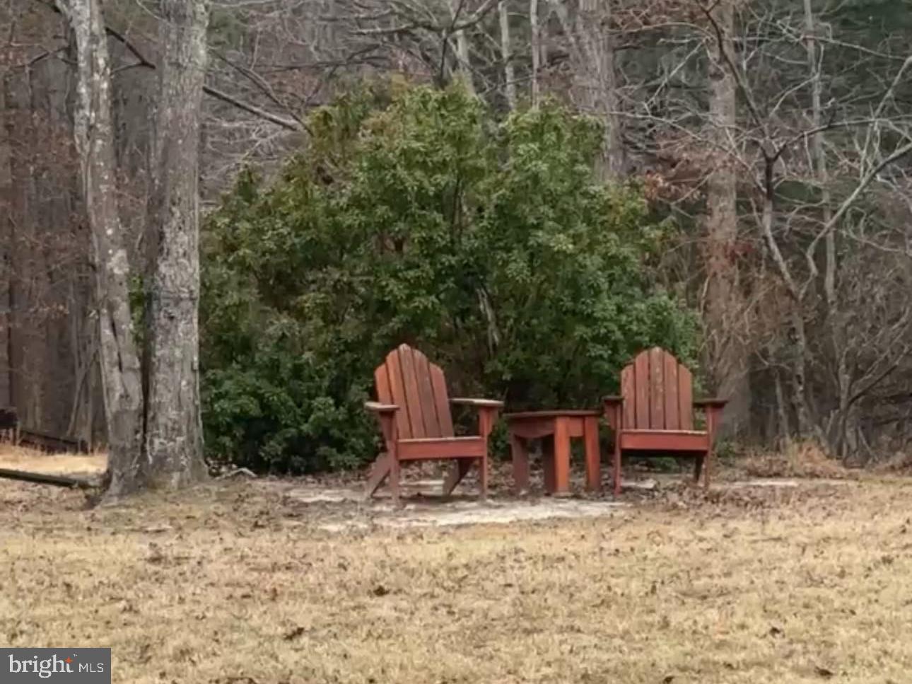 146 Lizzie Mills Road Castleton, VA 22716 - Photo 3 of 19 Enjoy nature