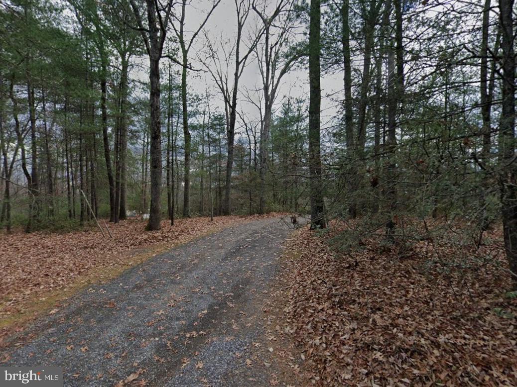 146 Lizzie Mills Road Castleton, VA 22716 - Photo 7 of 19 driveway