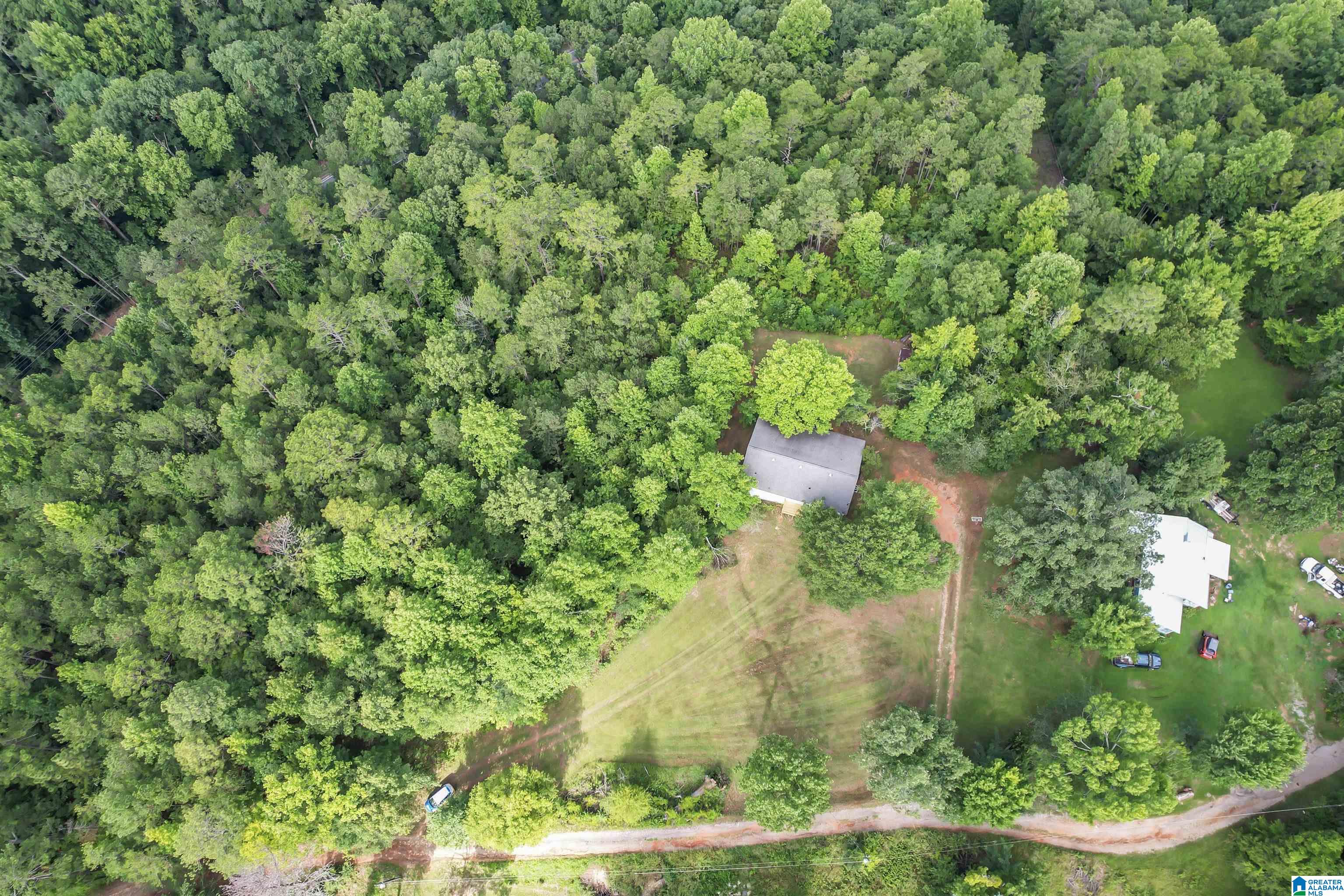 225 Sunset Hl Road Pell City, AL 35128 - Photo 7 of 33
