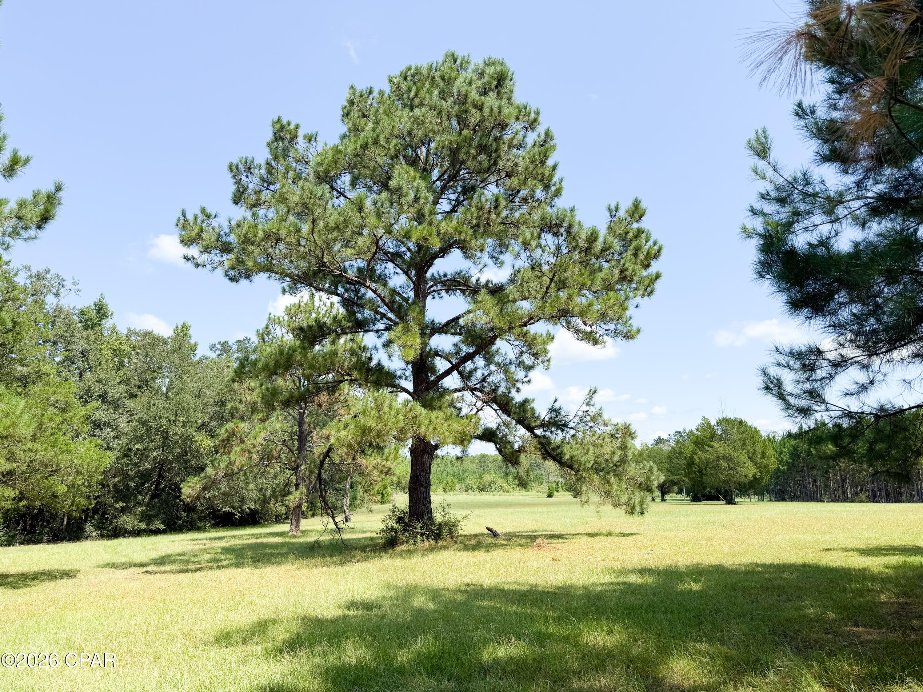 3813 Sand Path Road Bonifay, FL 32425 - Photo 18 of 28 Gallery Image 18