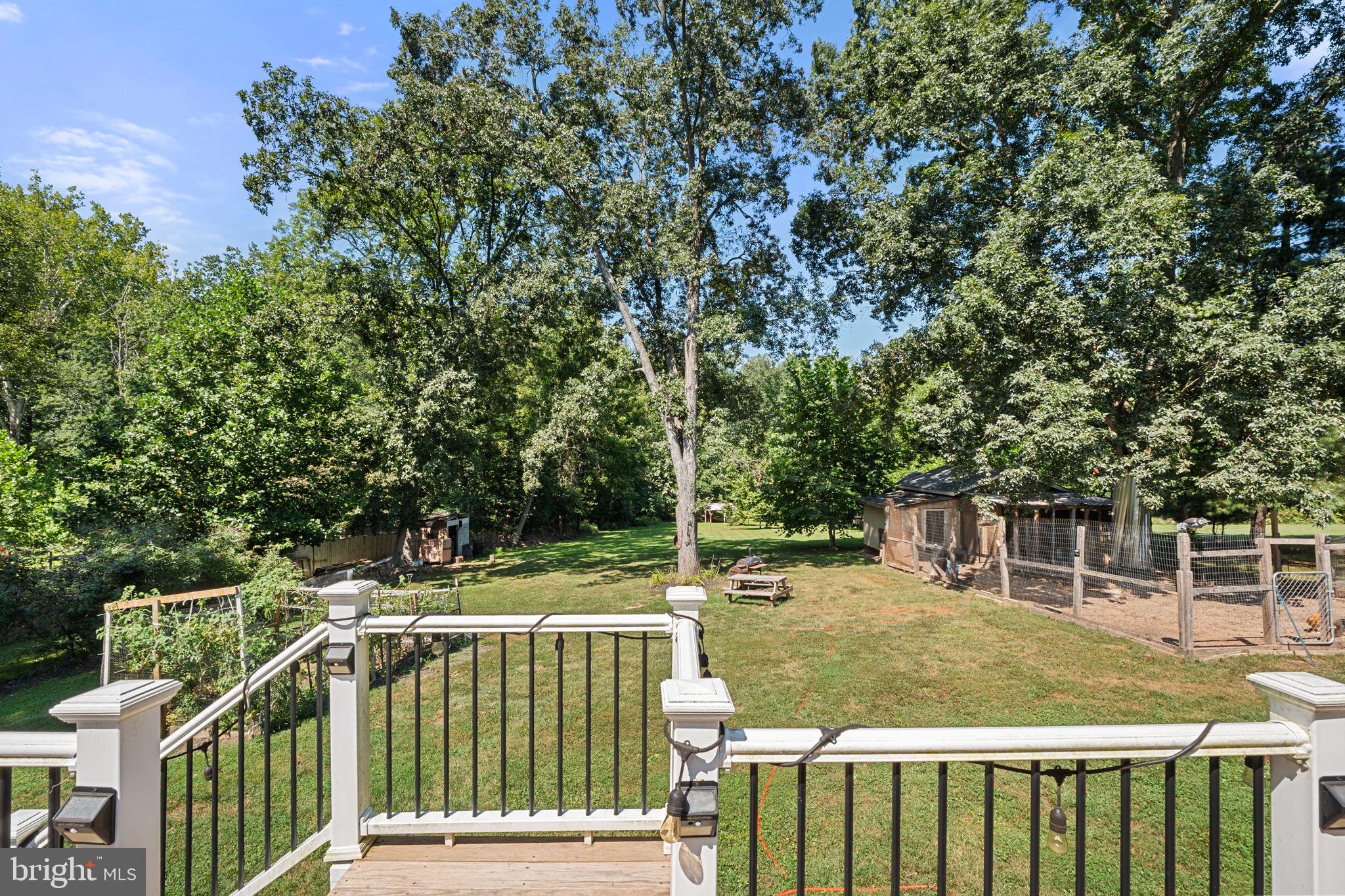 23439 Watson Road Leesburg, VA 20175 - Photo 31 of 41 a view of backyard with deck and trees