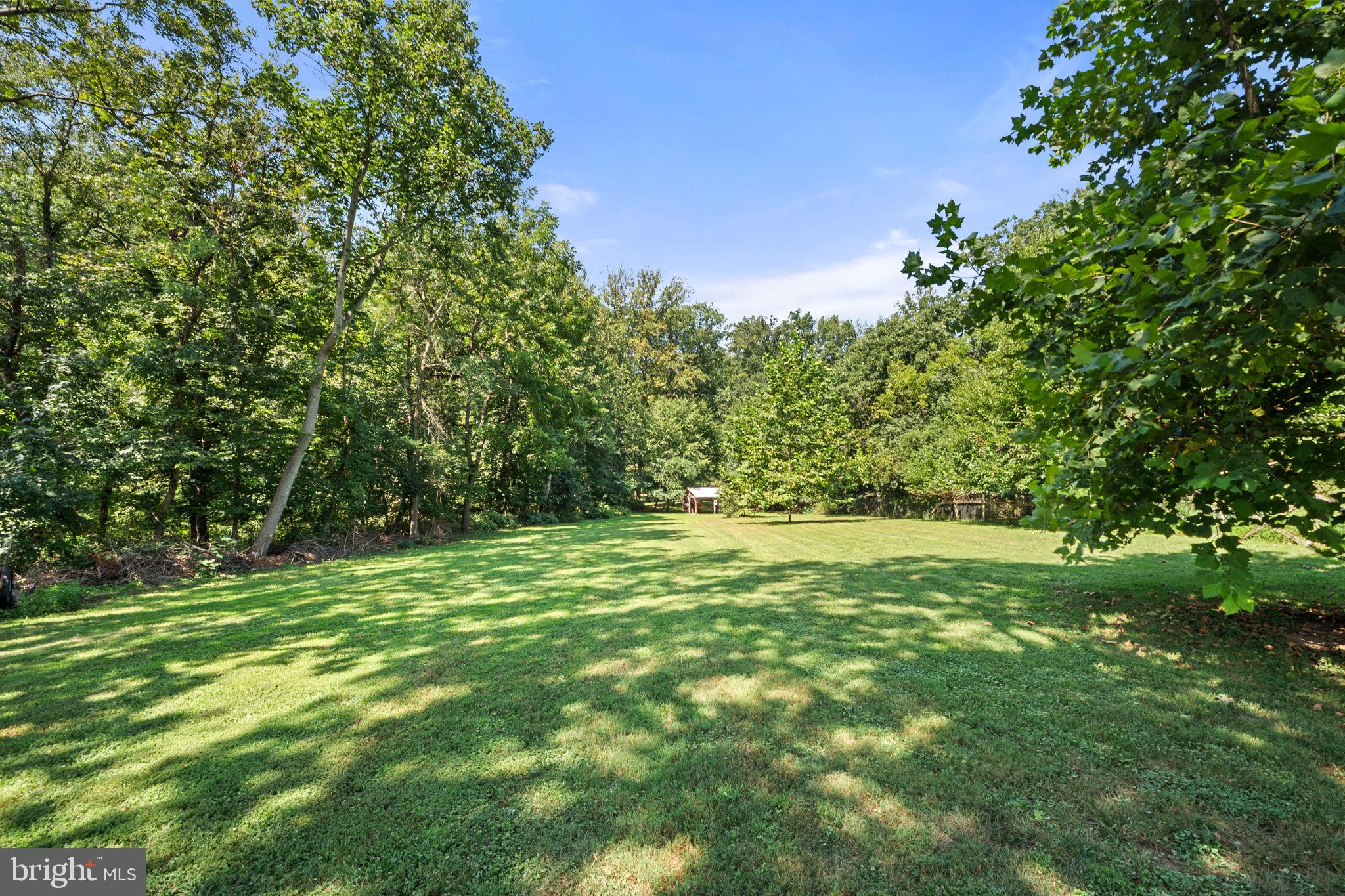 23439 Watson Road Leesburg, VA 20175 - Photo 33 of 41 a yard with trees in the background