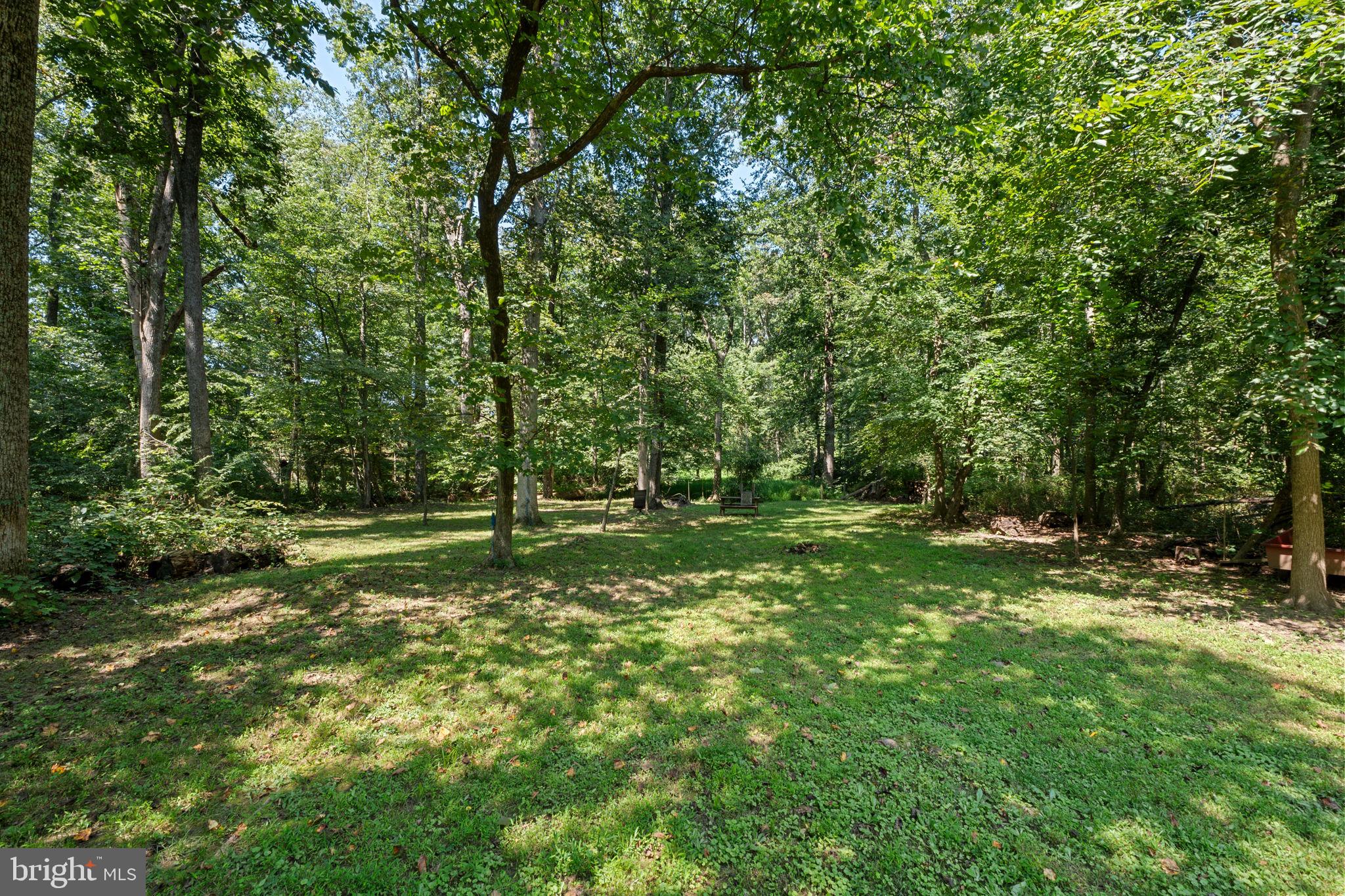 23439 Watson Road Leesburg, VA 20175 - Photo 34 of 41 a big yard with lots of green space and trees