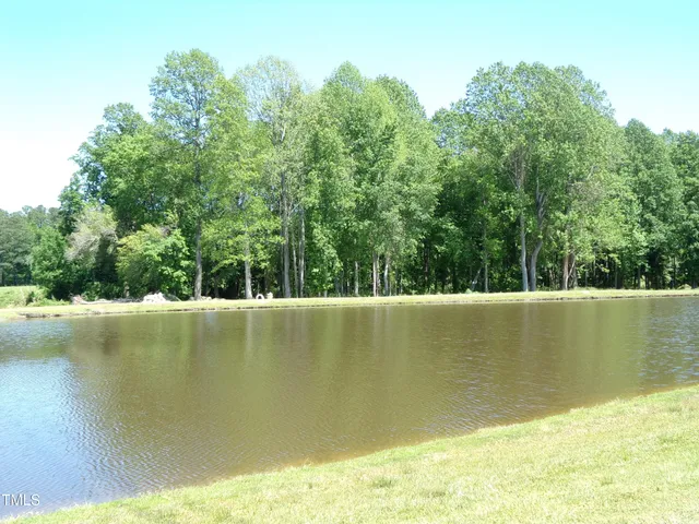 a view of a swimming pool and trees in the background