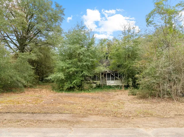 $32,500 | 5033 Screw Pin Road, Blenheim, SC 29516