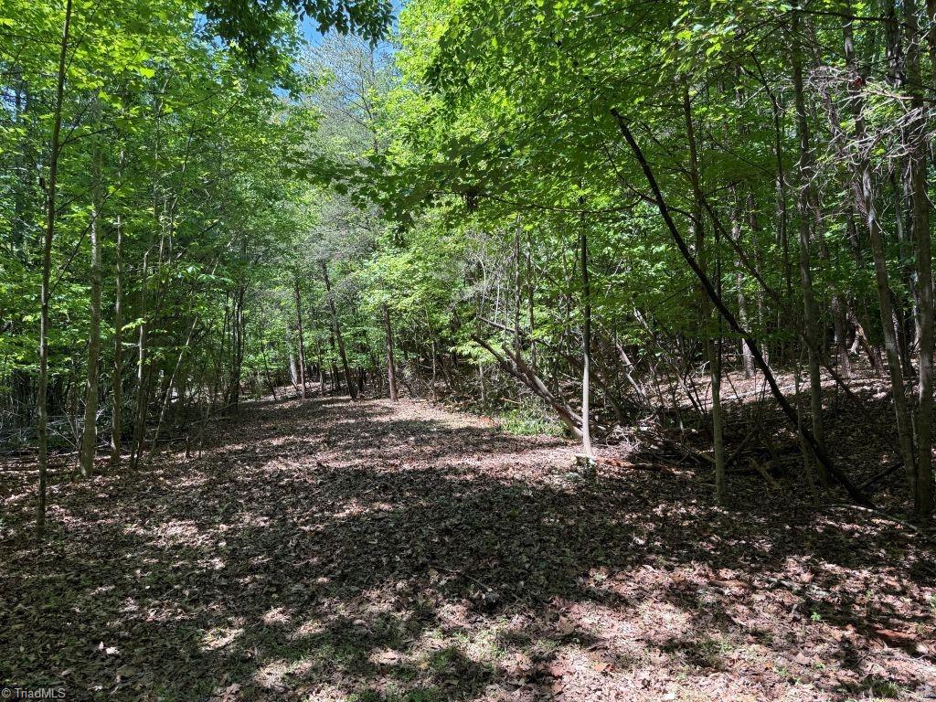 0 Broadview Road Pfafftown, NC 27040 - Photo 3 of 11