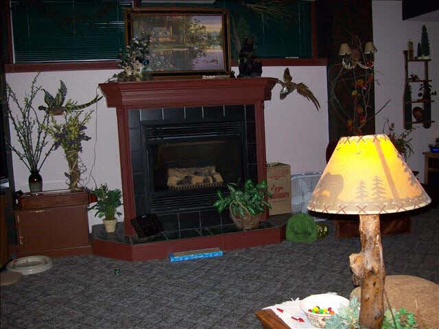 8125 Douglas Road Lambertville, MI 48144 - Photo 13 of 20 Livingroom fireplace