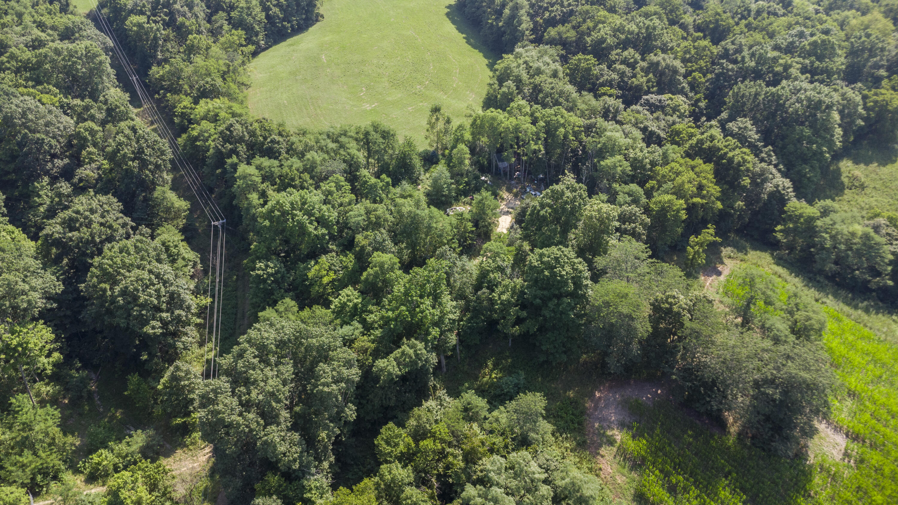 1440 Concord Road Verona, KY 41092 - Photo 44 of 50
