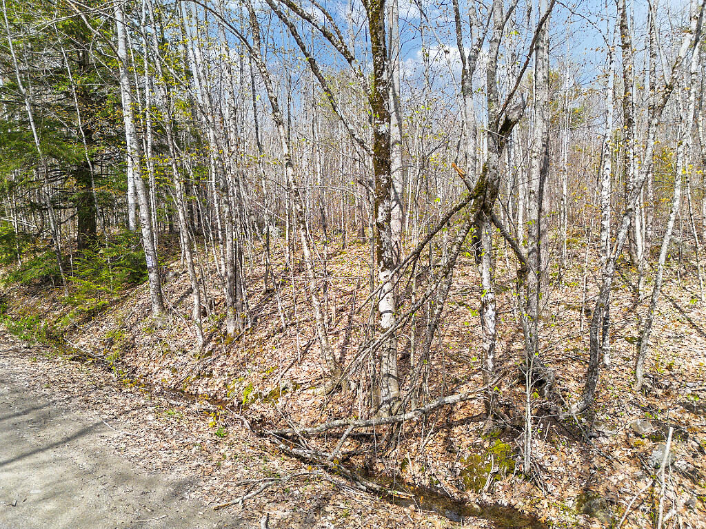 501 Noyes Road Waldoboro, ME 04572 - Photo 11 of 27