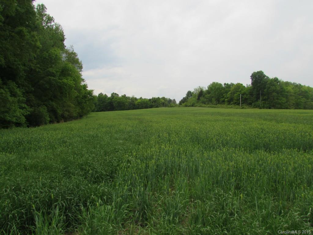 2840 Long Run Farm Road Mount Pleasant, NC 28124 - Photo 9 of 21 Gallery Image 9