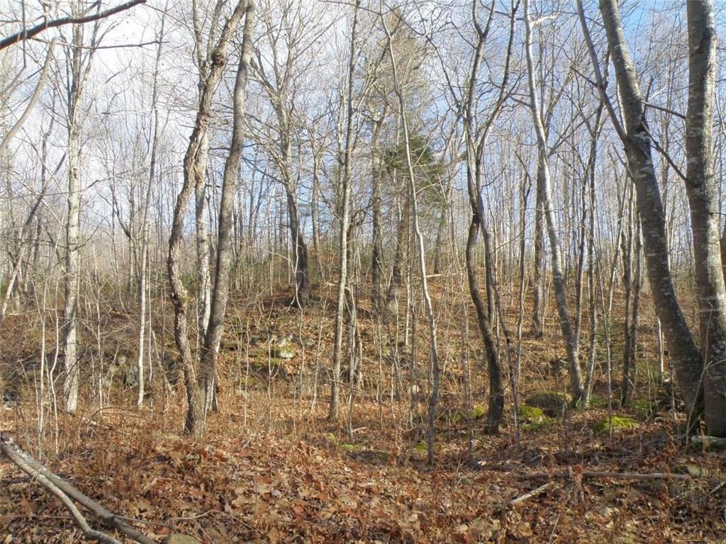 Lot 19-2 State Rte 9 Saco, ME 04072 - Photo 5 of 31 Photo