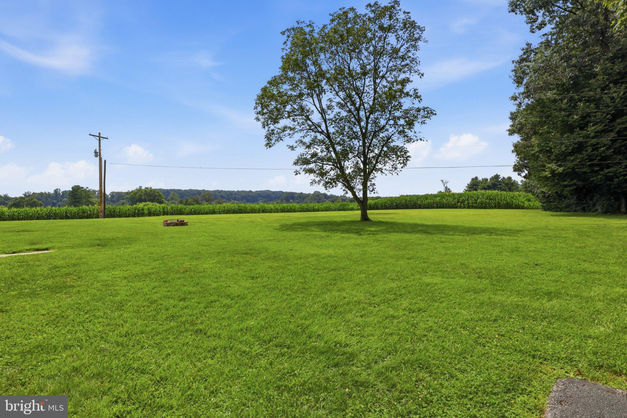 119 Raubenstine Road Hanover, PA 17331 - Photo 29 of 48 Expansive green oasis under blue skies.