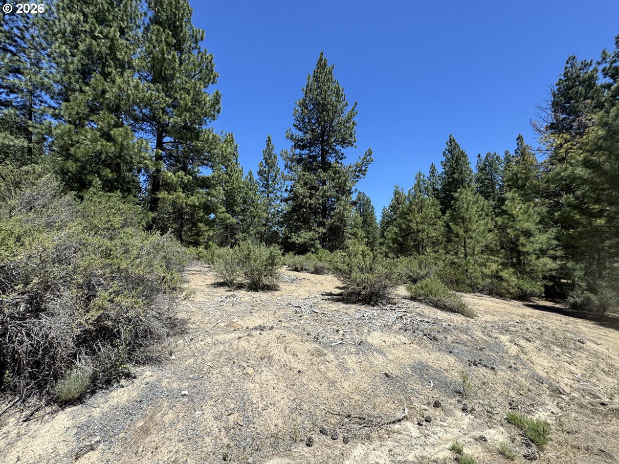 Friendship Drive, Unit 15 Chiloquin, OR 97624 - Photo 4 of 41