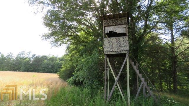 0 Chappell Crook Road, Unit 233AC Senoia, GA 30276 - Photo 1 of 1 Gallery Image 1