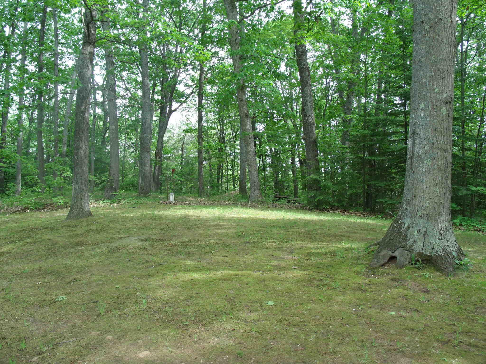 966 Ranch Road Indian River, MI 49749 - Photo 30 of 46 Gallery Image 30