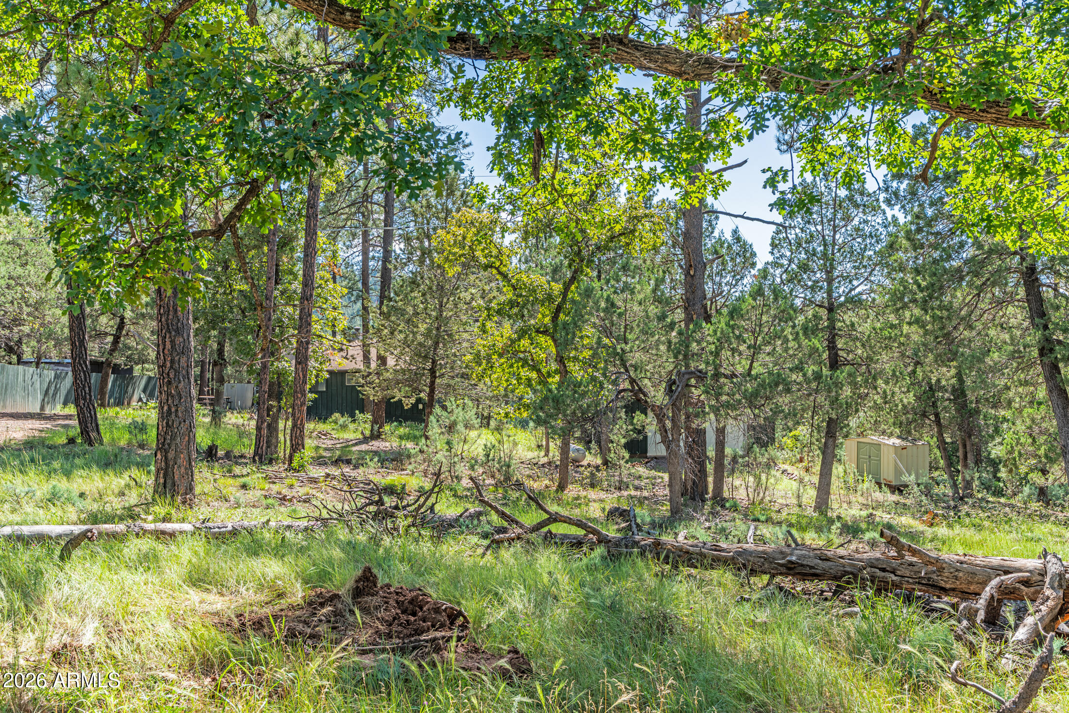 282 South Cienega Road Payson, AZ 85541 - Photo 21 of 28 _DSC1507-HDR-Edit