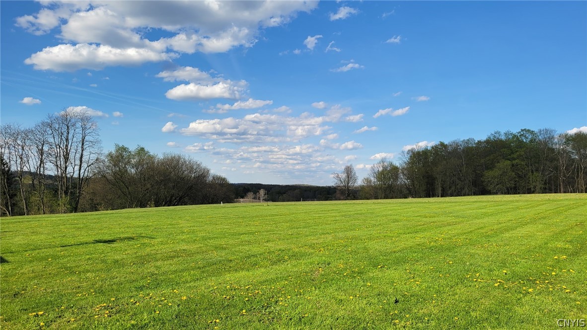 229 Gulf Hill Road Dryden, NY 13068 - Photo 4 of 27